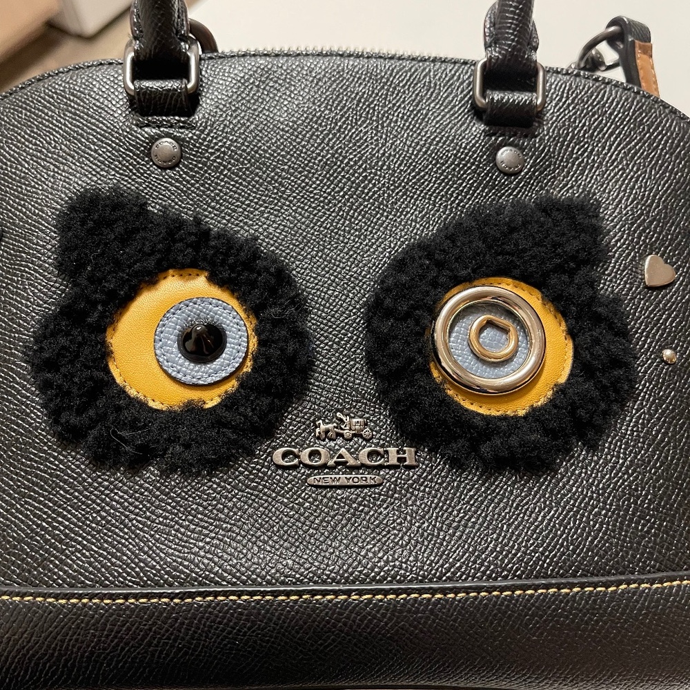 Coach crossbody bag